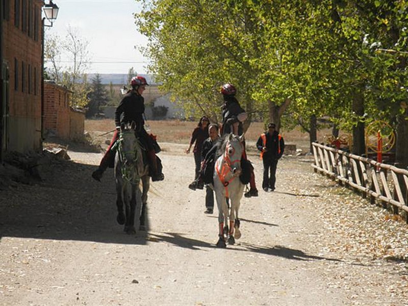 Clinic de Trec en el Club Hípico Zolina los próximos días 5 y 6 de diciembre